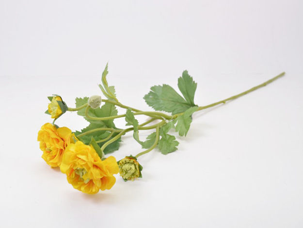 Slika Ranonkul 60 cm; 4 cvijeta; žuta