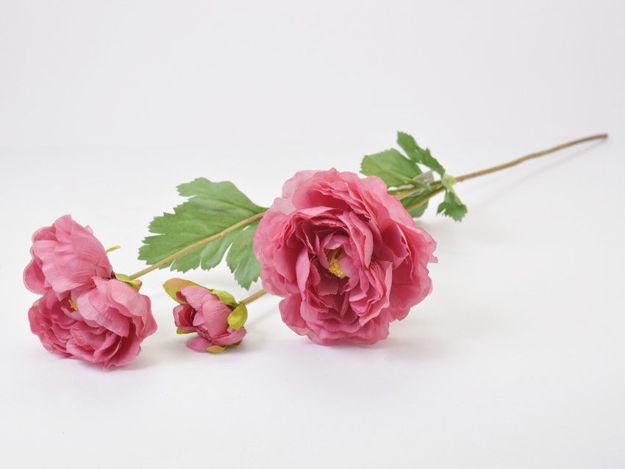 Slika Ranonkul 66 cm; 3 cvijeta; tamno ljubičasta
