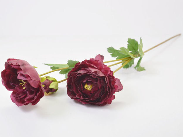 Slika Ranonkul 66 cm; 3 cvijeta; tamno crvena