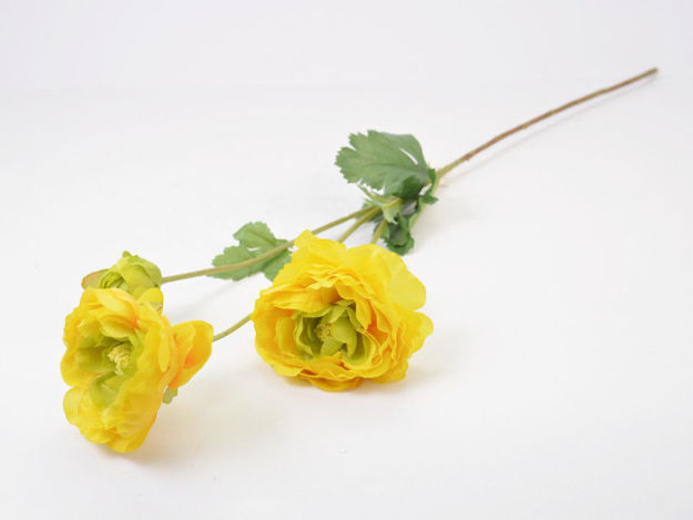 Slika Ranonkul 66 cm; 3 cvijeta; žuta