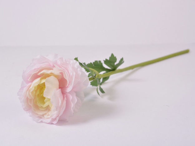 Slika Ranonkul 47 cm; svijetlo roza