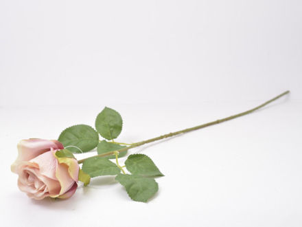Slika Ruža 66 cm; roza