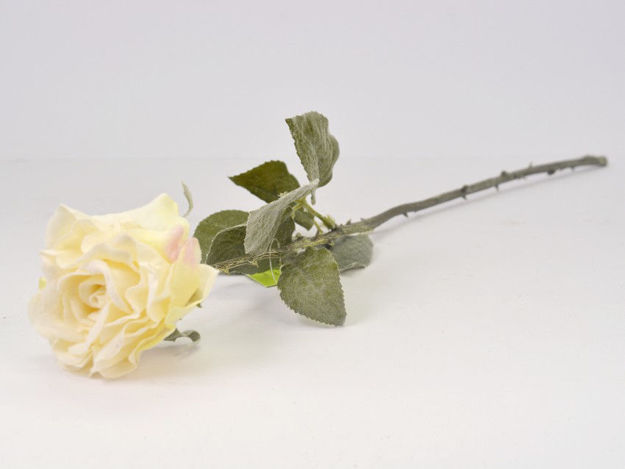 Slika Ruža 51 cm