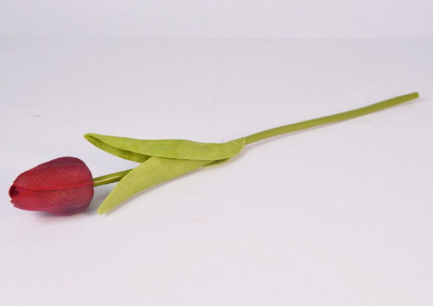 Slika Tulipan 32 cm; ciklama