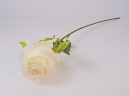 Slika Ruža 49 cm; bijela