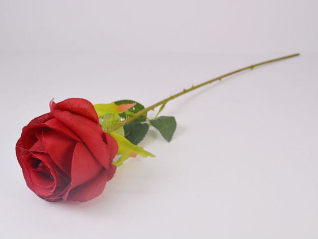 Slika Ruža 49 cm; fandango