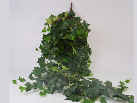 Slika Puzavica bršljan 125 cm; zelena