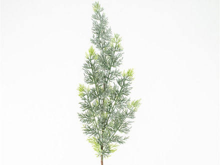 Slika Grana čempresa zelena frost 67cm