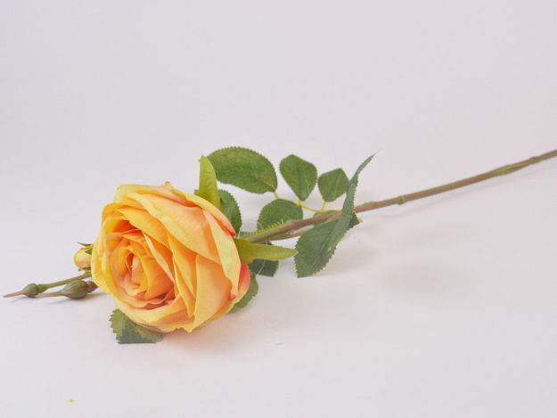 Slika Ruža 71 cm; žuta