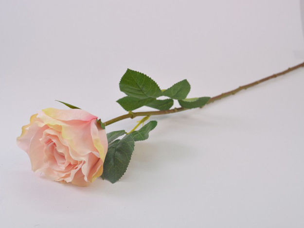 Slika Ruža 66 cm; sv.roza