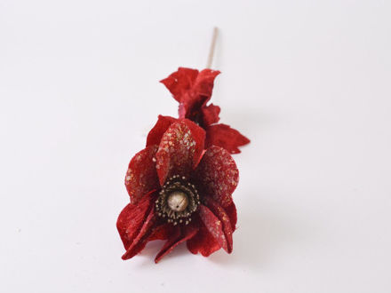 Slika Anemona baršunasta s gliterom 37cm/d10 cm; crvena rd-01