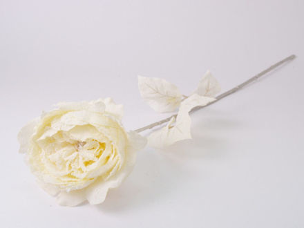 Slika Ruža engleska zasnježena 53 cm/d13 cm; krem cr-01