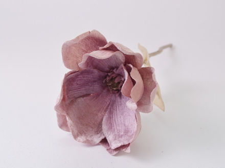 Slika Pik magnolija 31 cm/d15 cm; sv.roza ma-01