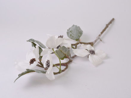 Slika Grana ivančice zasniježena 47 cm/d8 cm; bijela