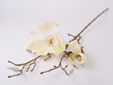 Slika Magnolija 63 cm/d12 cm; bijela