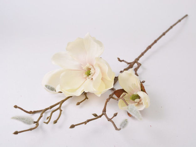 Slika Magnolija 63 cm/d12 cm; bijela