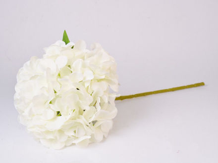 Slika Hortenzija 48 cm; bijela