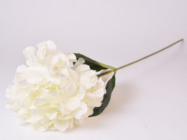Slika Hortenzija 58 cm; bijela