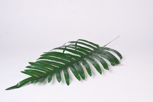 Slika List palme 50 cm