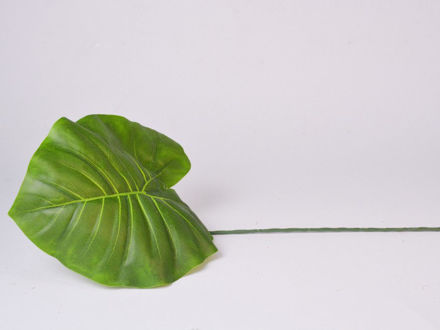 Slika List zelenila 51 cm
