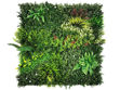 Slika Umjetni zeleni zid Color Meadow s UV zaštitom; 100x100 cm