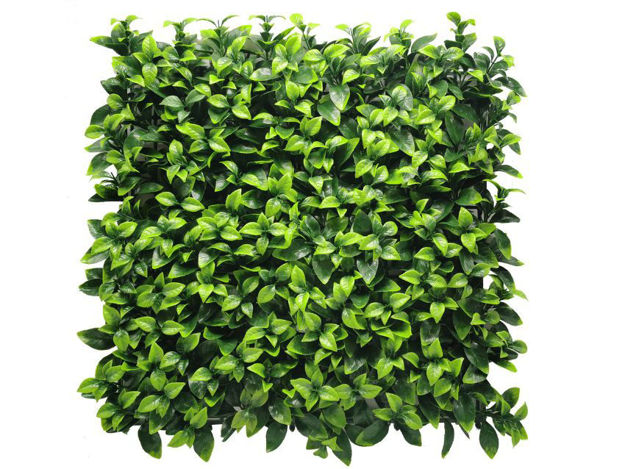 Slika Matonela Gardenia s UV zaštitom; 50x50 cm