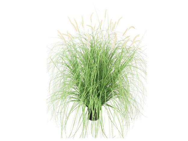 Slika Umjetna trava 117 cm