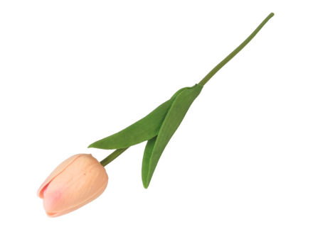 Slika Tulipan 32 cm; sv.roza