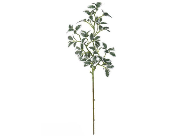 Slika Grana zelenila 73 cm