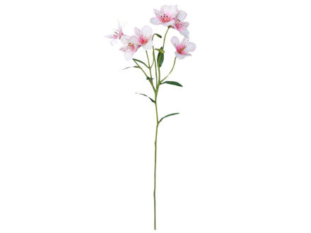 Slika Alstromeria 62 cm; bijela/roza