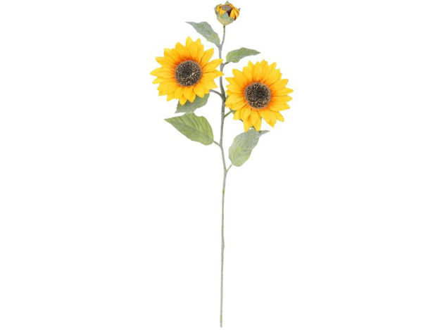 Slika Suncokret 62 cm; žuta