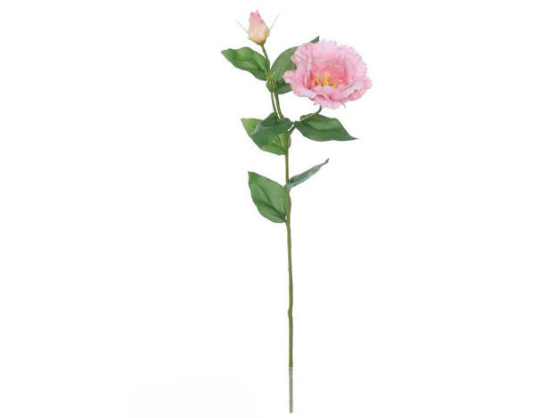 Slika Lizijantus 59 cm; roza