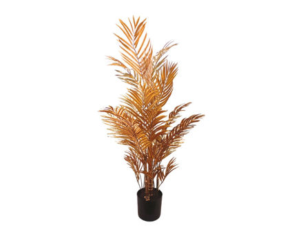 Slika Areca palma 105cm./27 listova zlatna
