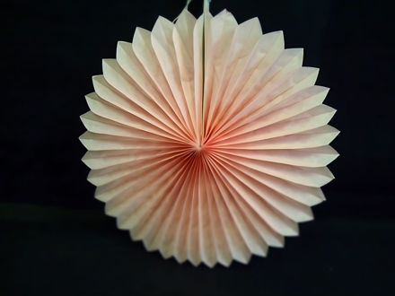 Slika Papirnate rozete - 30 cm svj.roza