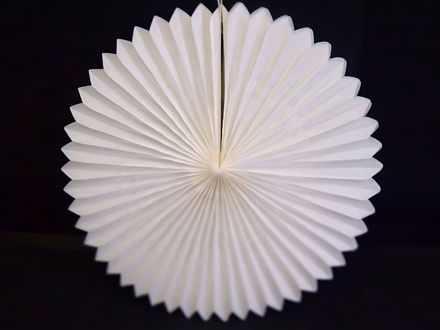 Slika Papirnate rozete 40 cm bijele