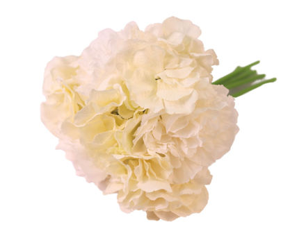 Slika Buket hortenzija/peonija;bijela