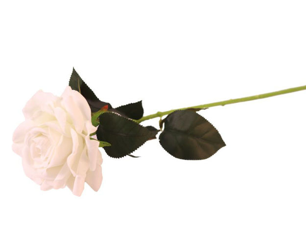 Slika Ruža 74 cm; pliš, bijela