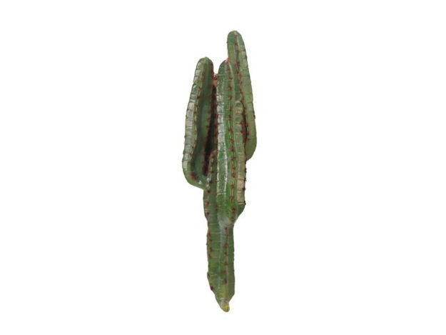 Slika Kaktus 70cm