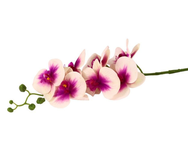 Slika Orhideja 96 cm