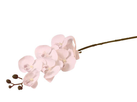 Slika Orhideja 76 cm; bijela