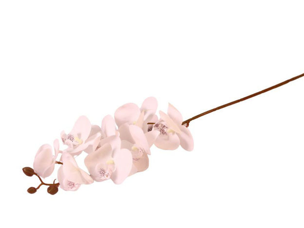 Slika Orhideja 76 cm; bijela