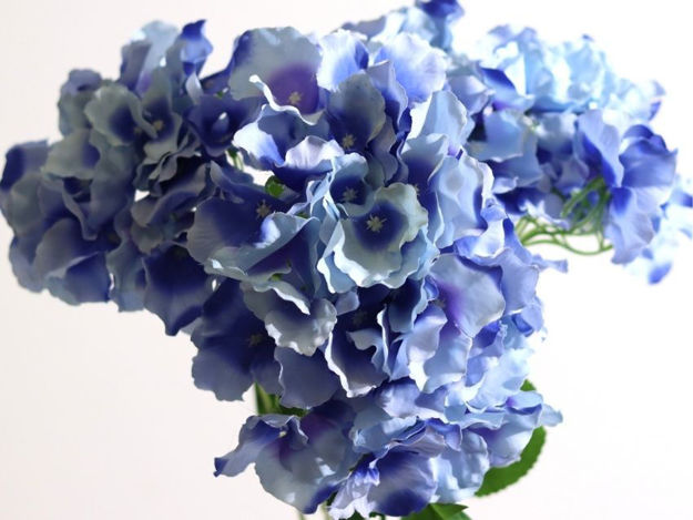 Slika Hortenzija buket x5 48cm plava