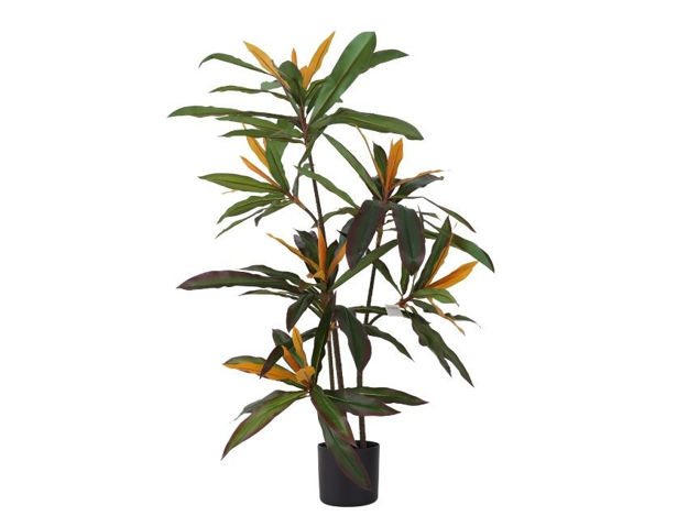 Slika Umjetno drvo cordyline fructiosa 145 cm x 6