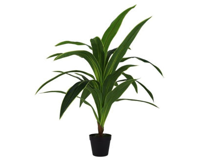 Slika Umjetno drvo dracena 110 cm 18 listova