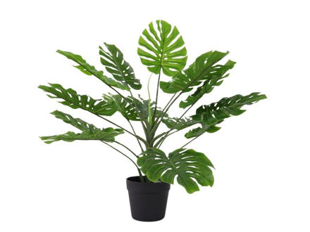 Slika Umjetno drvo monstera 70 cm x6