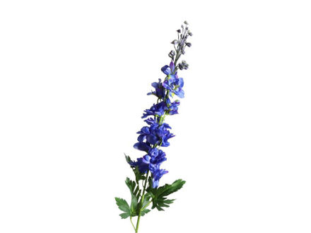 Slika Delphinium/kokotić 79 cm plava