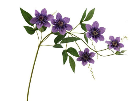 Slika Clematis 78 cm lila