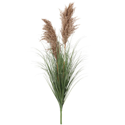 Slika Grana pampas 90 cm; smeđa