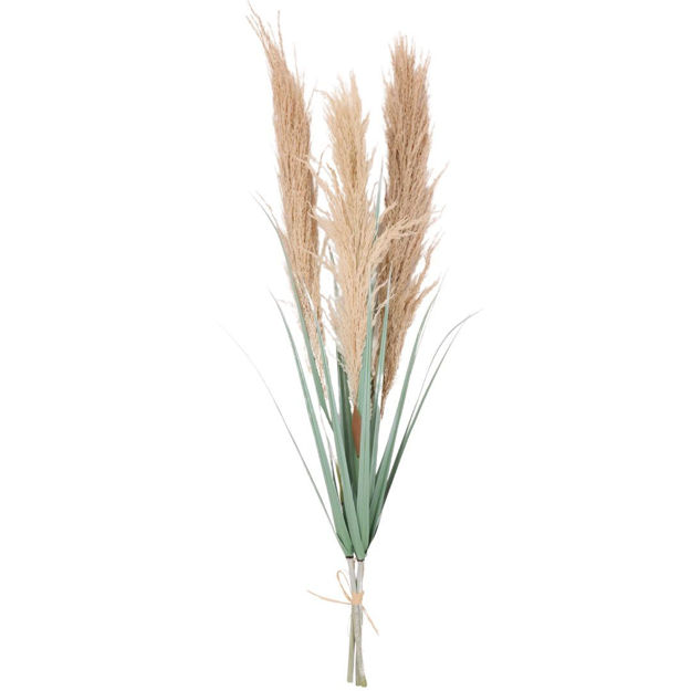 Slika Grana pampas 90 cm; sv.smeđa