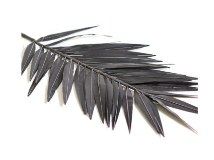 Slika Grana palme 110 cm crna